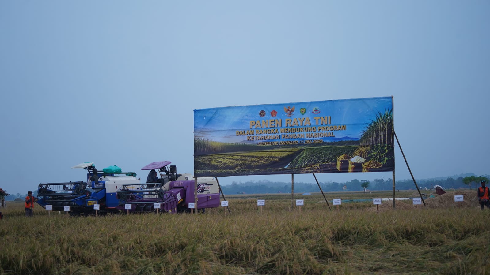 Panen Raya di Ujungjaya Jadi Bukti Sumedang Serius Wujudkan Ketahanan Pangan Nasional